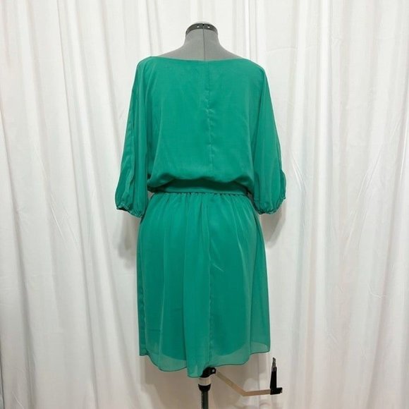 Paperdoll NWOT Sz 1X Jade Dolman 3/4 Sleeves Elasticized Cuff Lined Dress - Picture 4 of 5